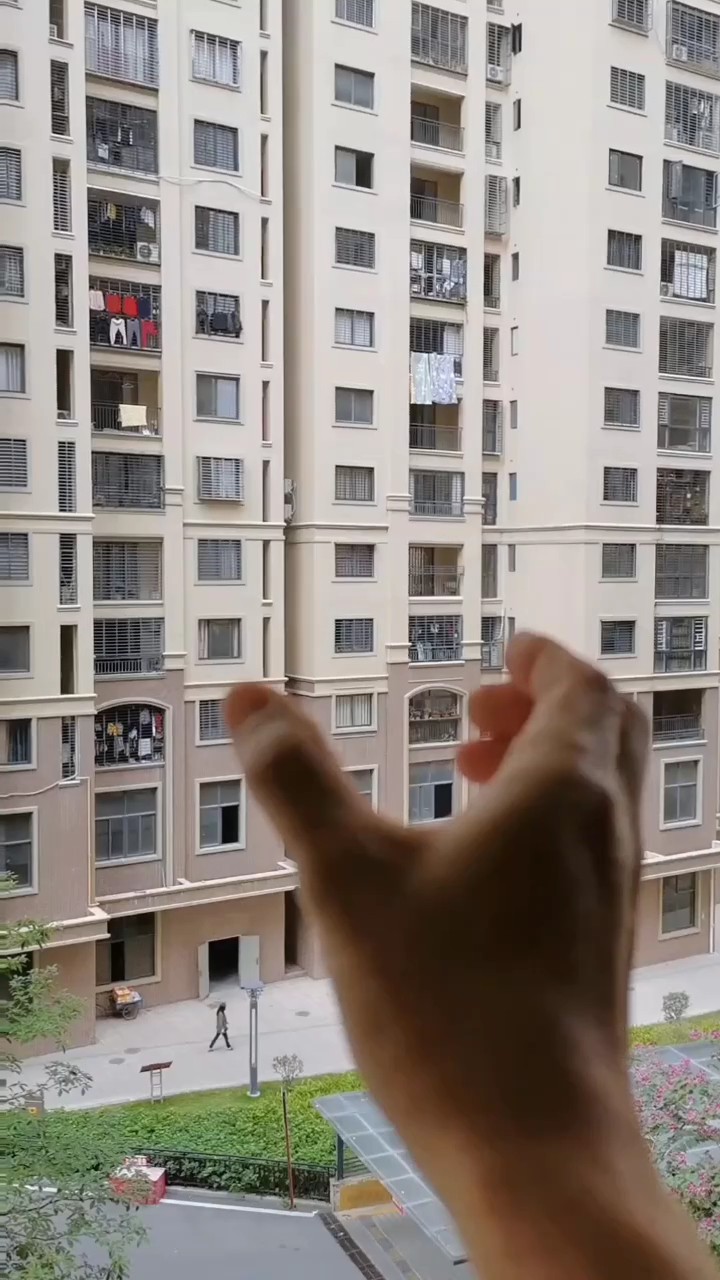Sobreposição 