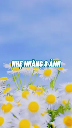 MẪU 8 ẢNH NHẸ NHÀNG