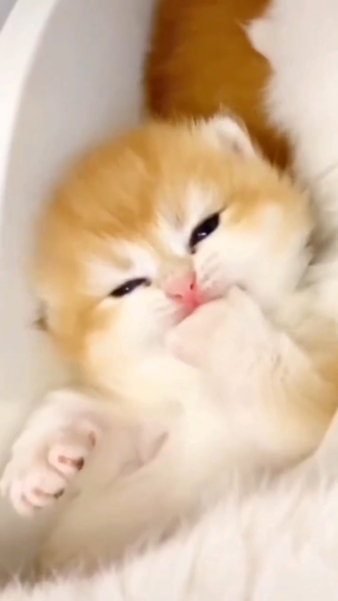 카와이