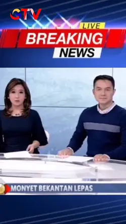 Prank Bekantan Lepas