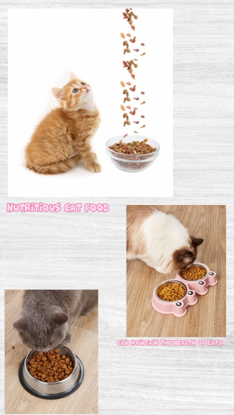 promotion cat food