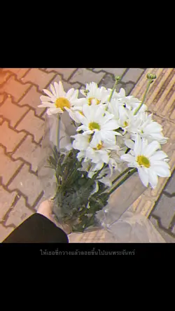 ซานต้าครอส