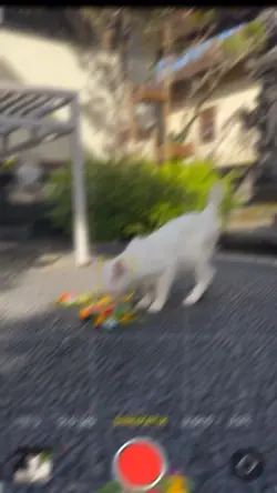 Come On Blur HD