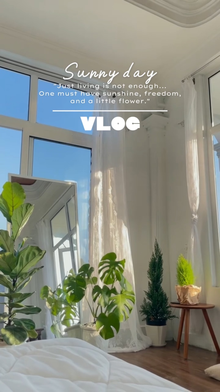 vlog