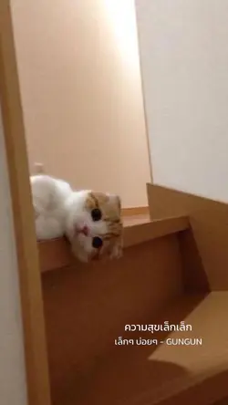 เล็กๆ บ่อยๆ 🐾