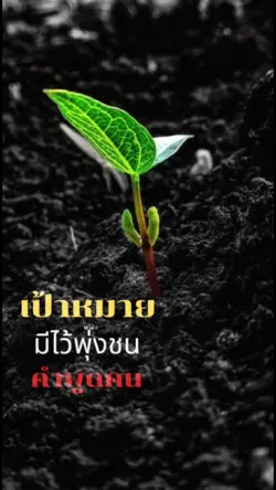 เป้าหมายชีวิต