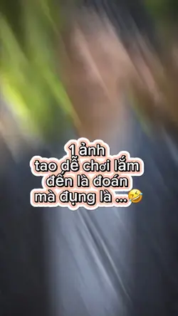 1 ảnh tao yang hồ