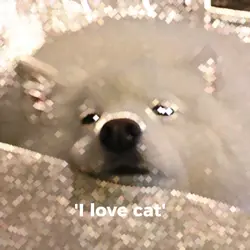 I love