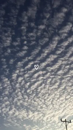 4video