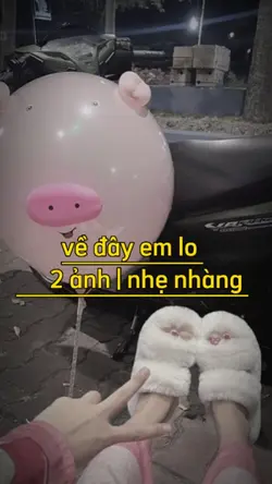 2 ảnh