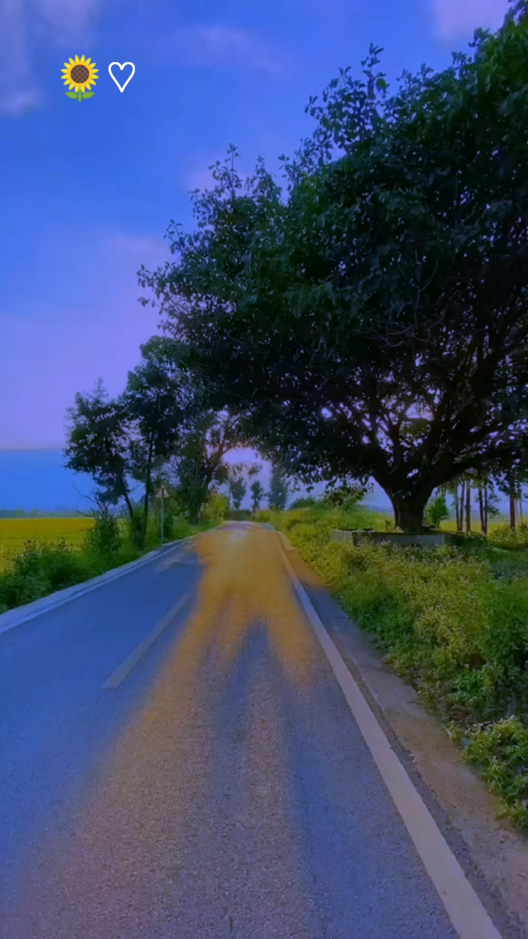 Mana janjimu padaku