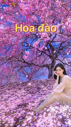 Hoa đào
