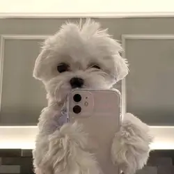 4학년2반수고많았어