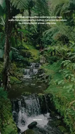 Story Wa
