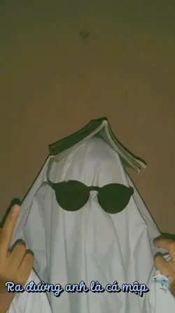 Anh là cá mập 🦈 
