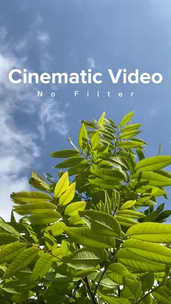 Cinematic Healing