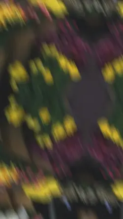 Mẫu 76 ảnh 