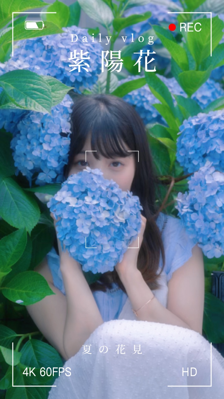夏の花見
紫陽花との思い出作りましょう 