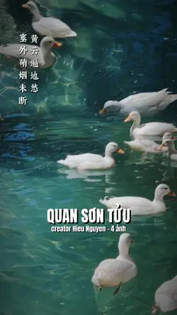QUAN SƠN TỬU 