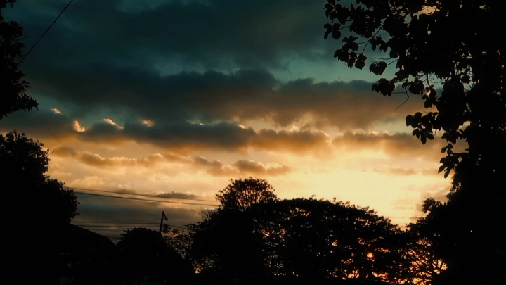 Biola dramatic