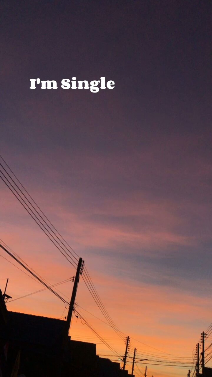 ESTOY SOLTERO 