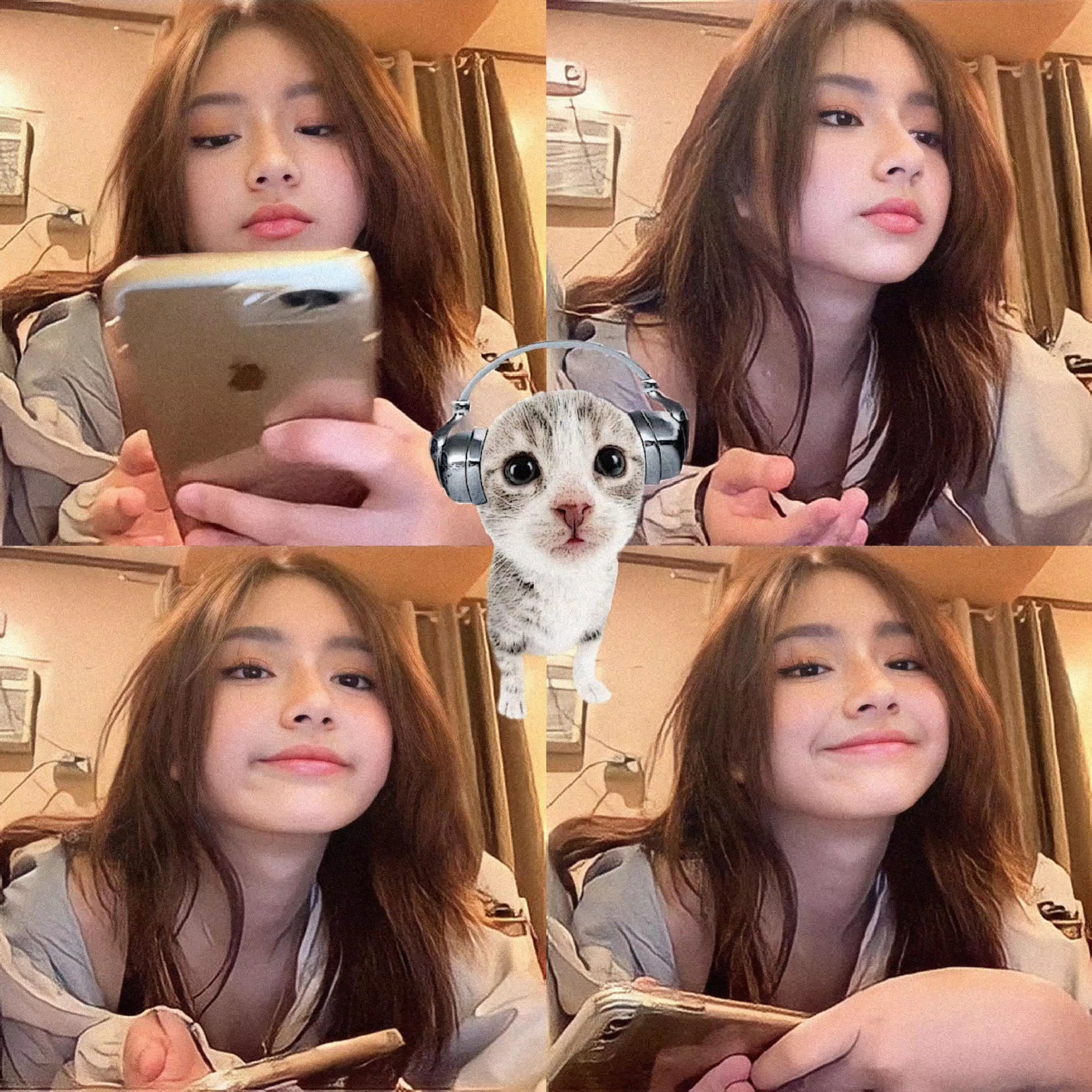 날카로워진 고양이