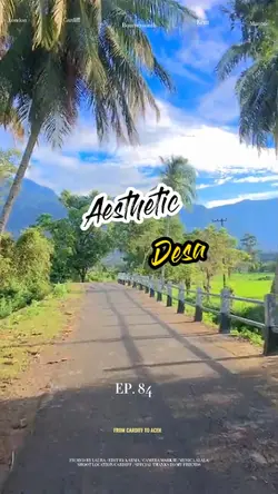 Aesthetic Desa