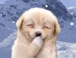 닮은꼴(사진:친구)