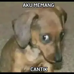 foto bobrok teman 