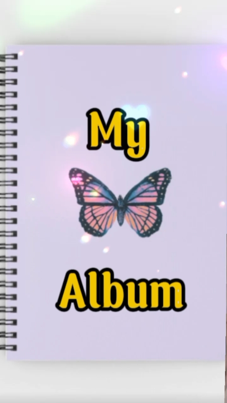 내 앨범