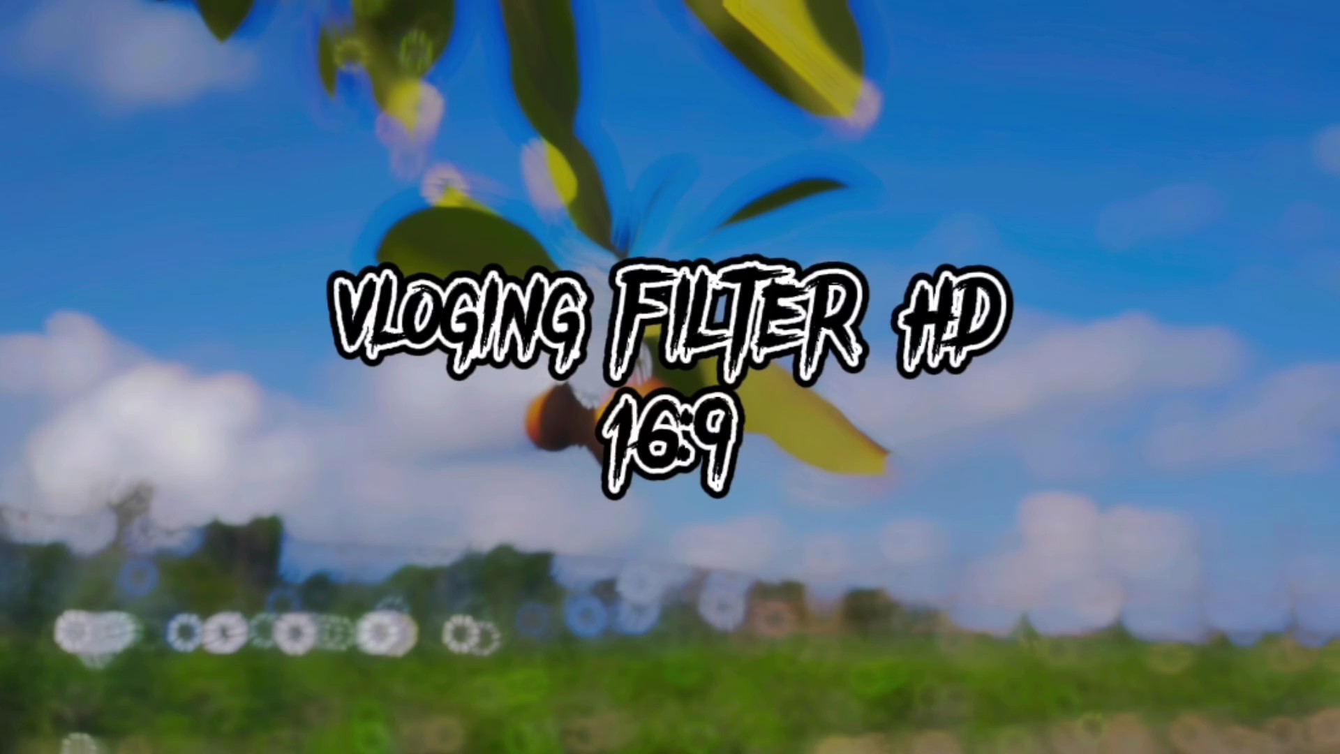 vlog 16:9 