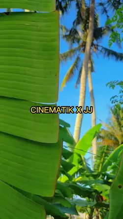 cinematik X JJ