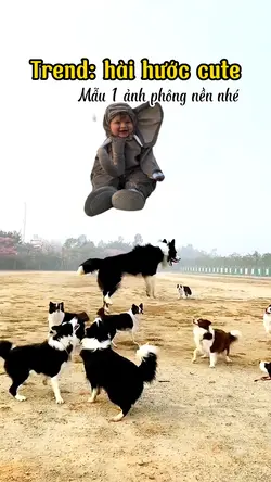 Hài hước vui nhộn 