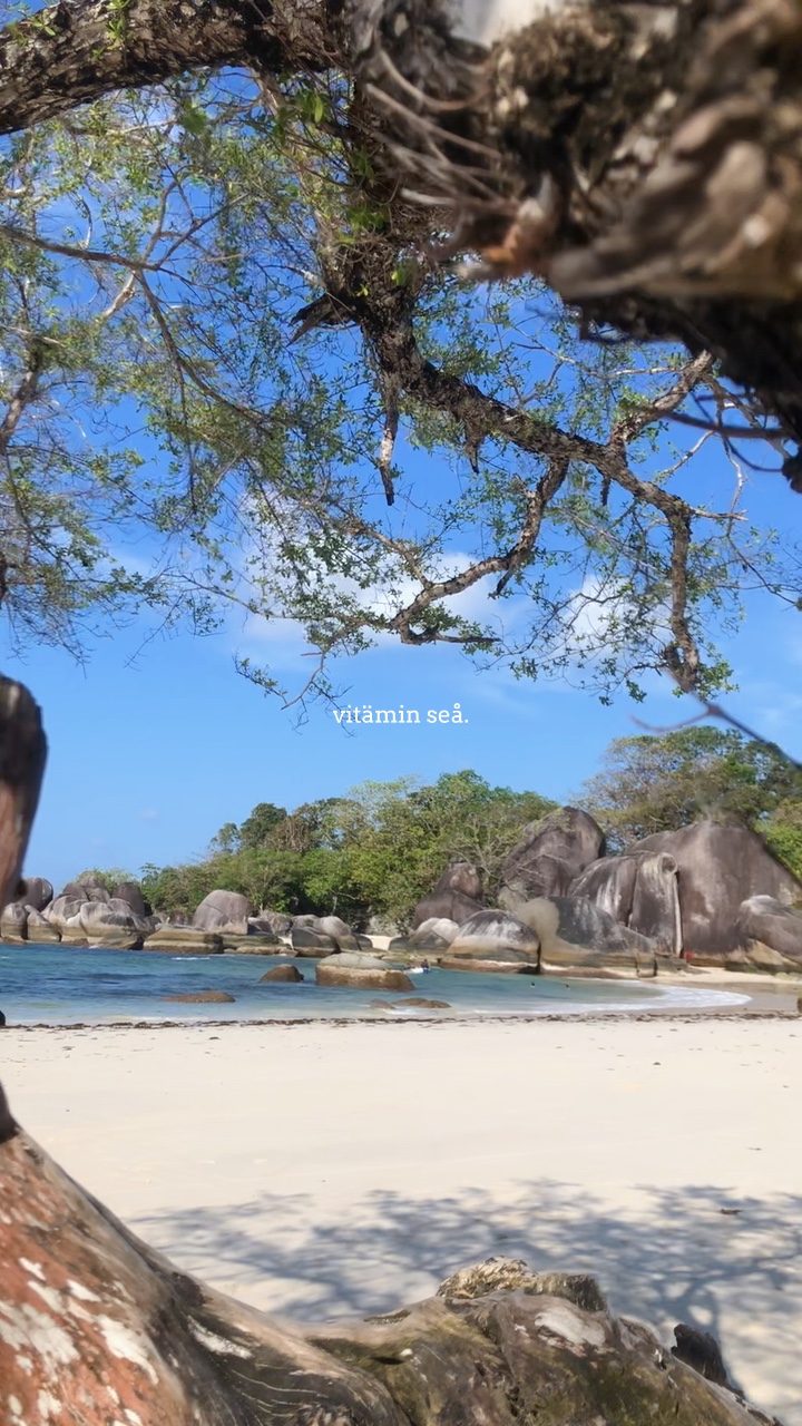 Vitamin Sea