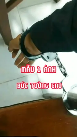 Bức tường cao