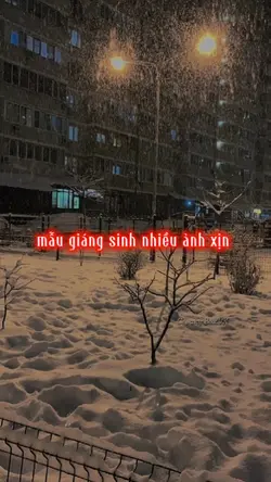 mẫu giáng sinh xịn 