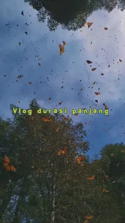 Vlog durasi panjang 