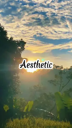 Aaesthetic