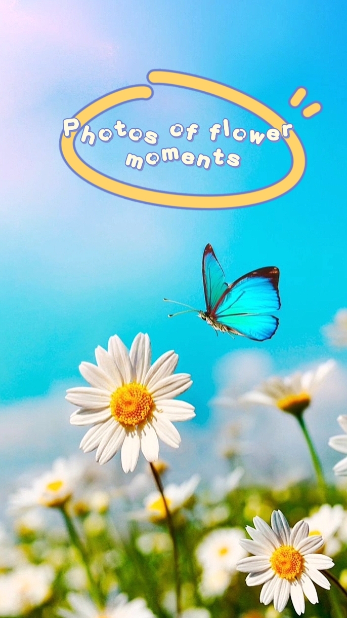 Moments photo nouveaux
