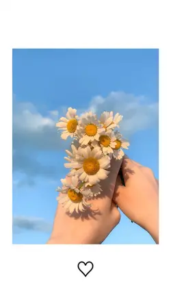 1 Pic✨