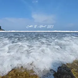 Vlog