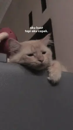 q kuat tapi ak cape 