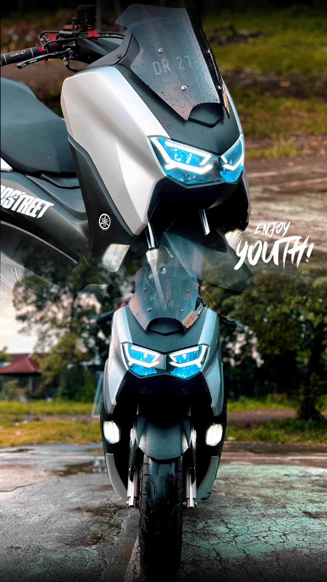 Cover Picture