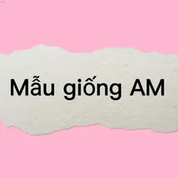 Mẫu giống AM