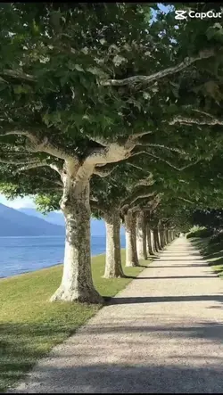 Beautiful Garden