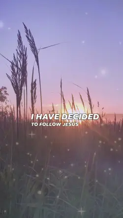 follow Jesus