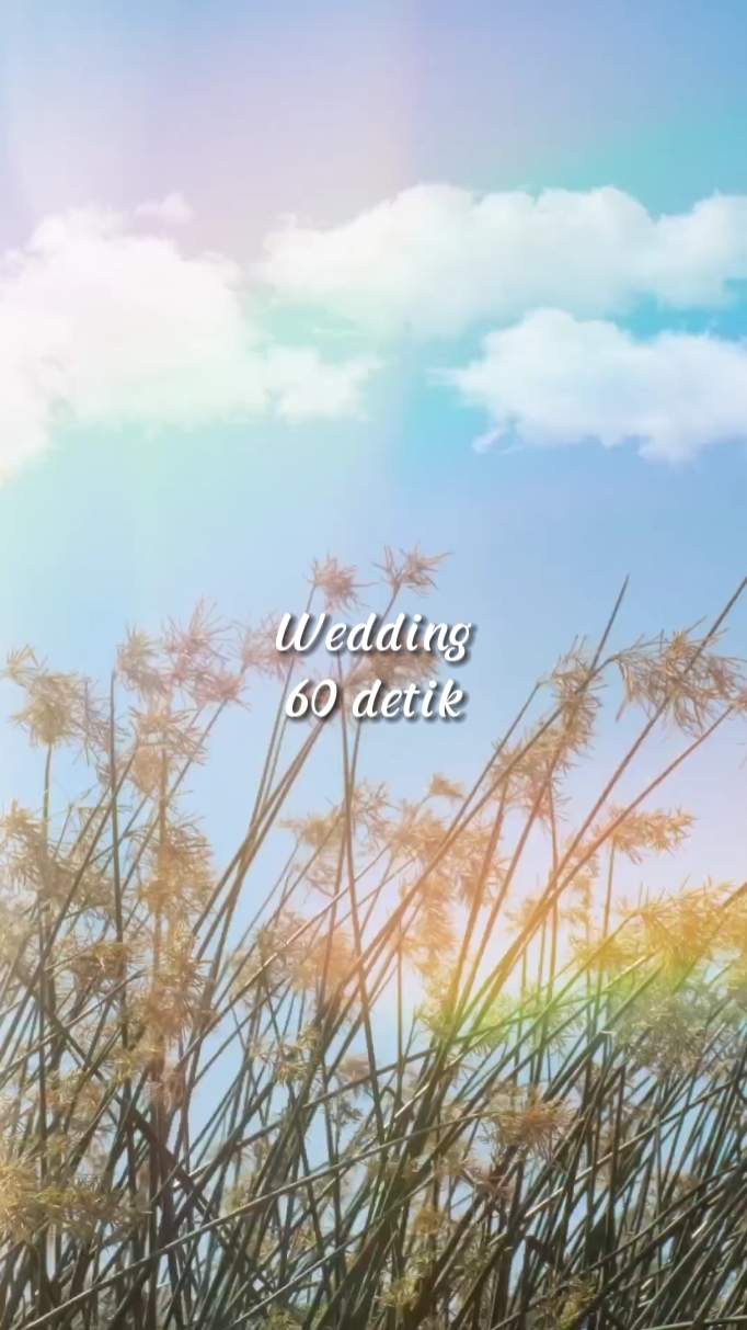 Wedding 60 detik