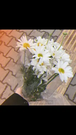 มัลติเวิส