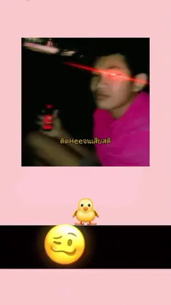 ดูเป็ด