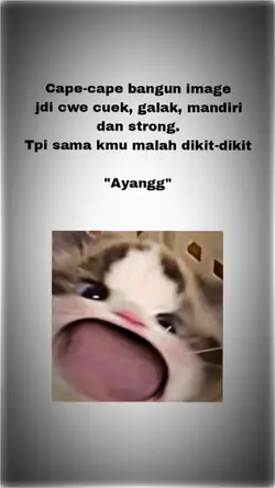 Dikit-dikit "AYANGG"